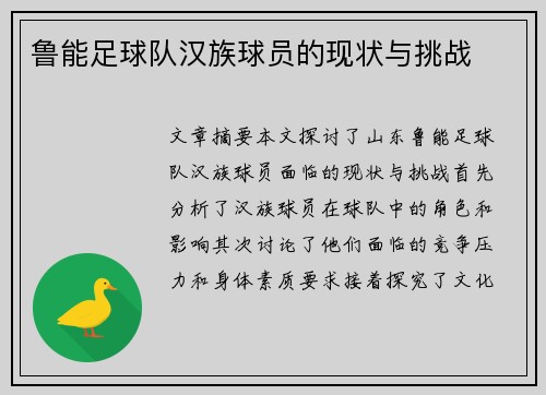 鲁能足球队汉族球员的现状与挑战